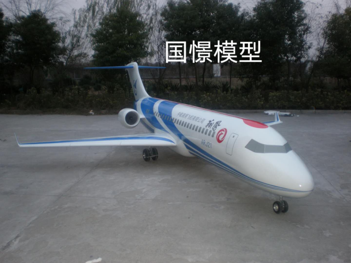 东海县飞机模型