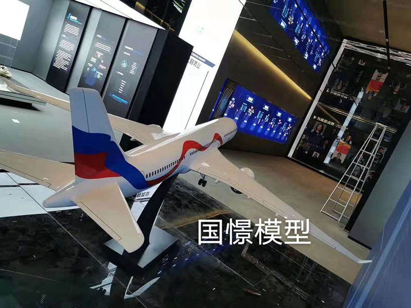 东海县飞机模型