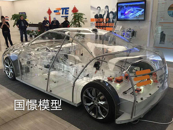 东海县透明车模型
